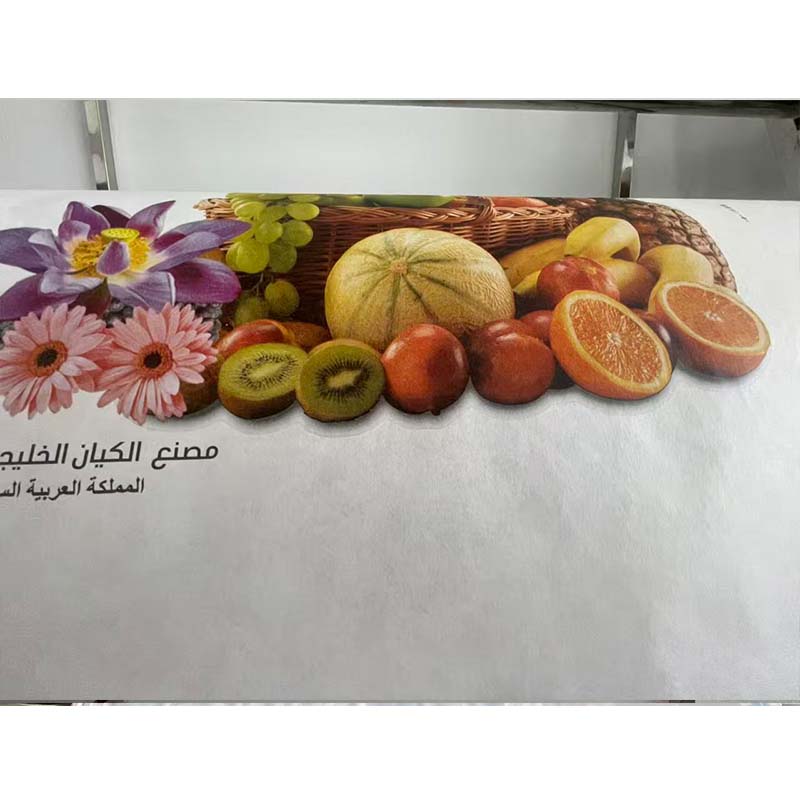 Impressora Flexográfica de Alt - Printer Paper avaliação e preço